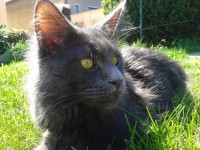 /album/fotogaleria-caspian-of-vesper-sk/a2012-05-012-jpg/