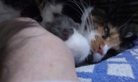 /album/fotogaleria-vrh-a/imag0047-jpg/