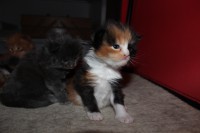 /album/fotogaleria-bella/img-2247-jpg/